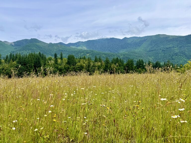 Early Summer Hiking Near Mt. Baker/ Artist Point