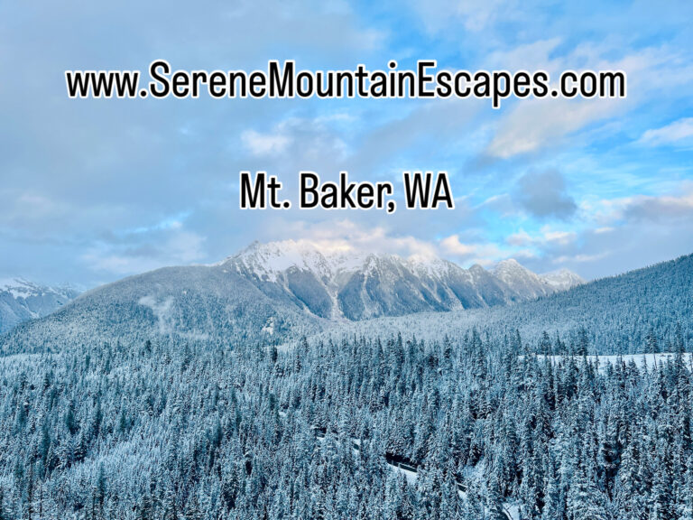What to Do at The Mt. Baker