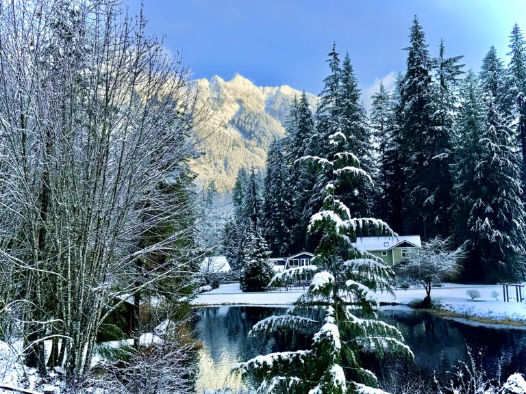 Vacation Rentals With Mountain Views Near Mt. Baker