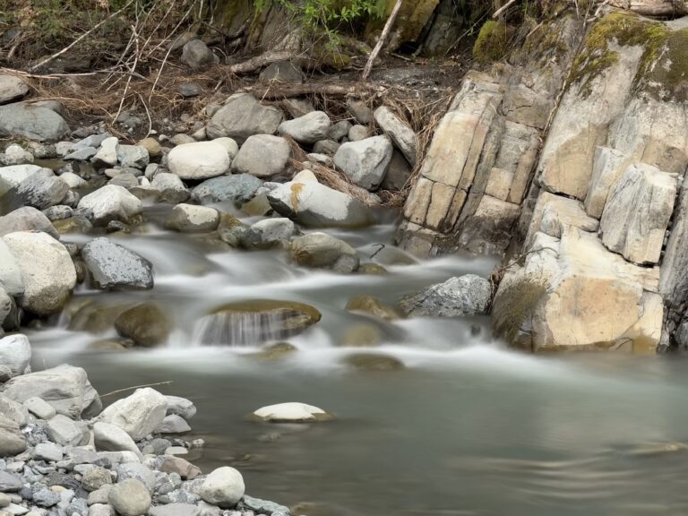Need a Little Mental Break? Come Relax By The Creek!