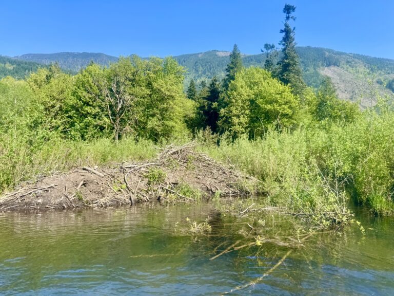 Silver Lake Beaver Lodge