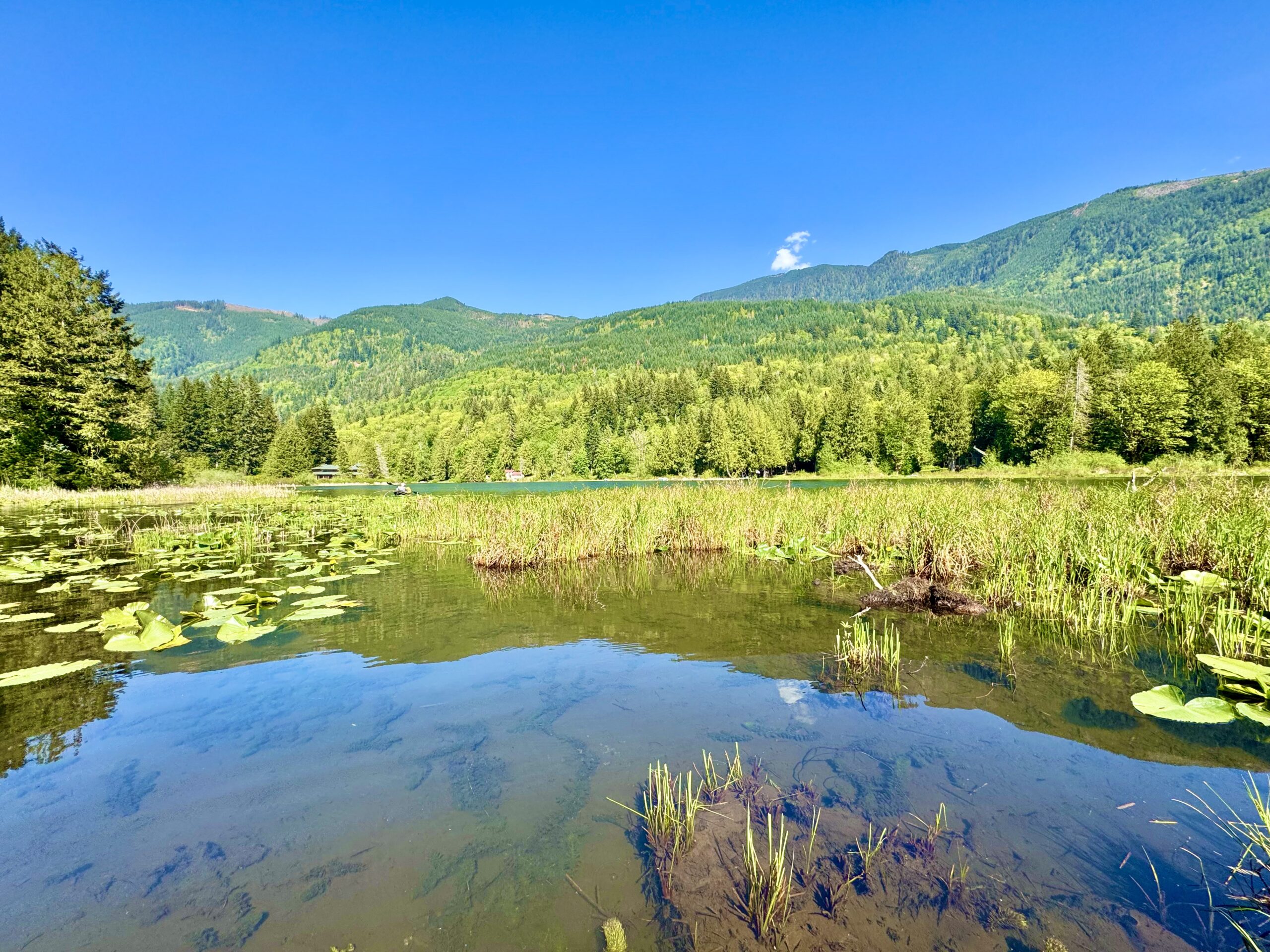 What is There to do in Spring Near Mt. Baker?